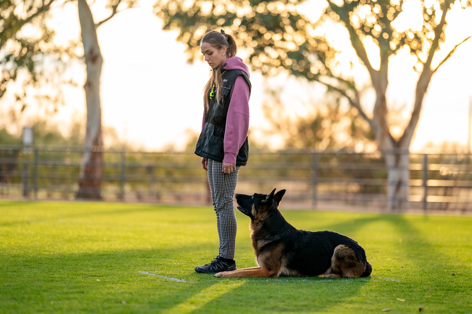 Nicole and Bruce training at golden hour — handler and service dog