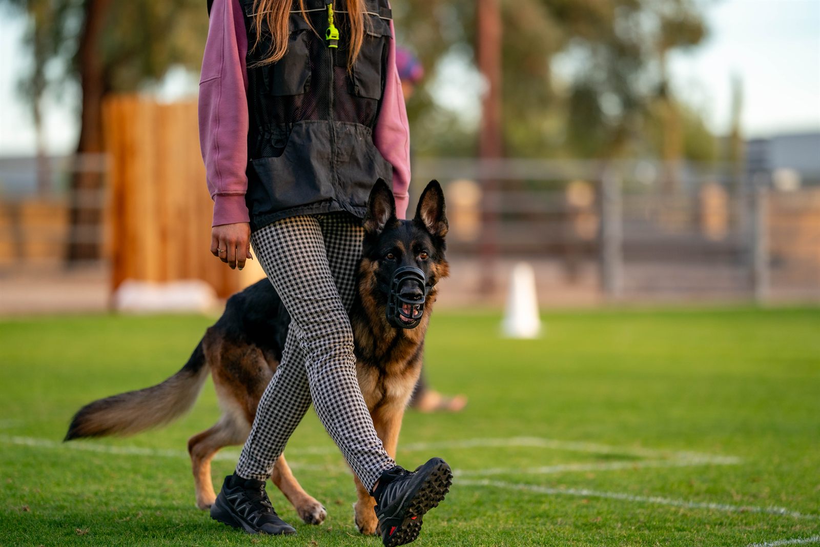 Nicole VanCleave heeling Bruce in training
