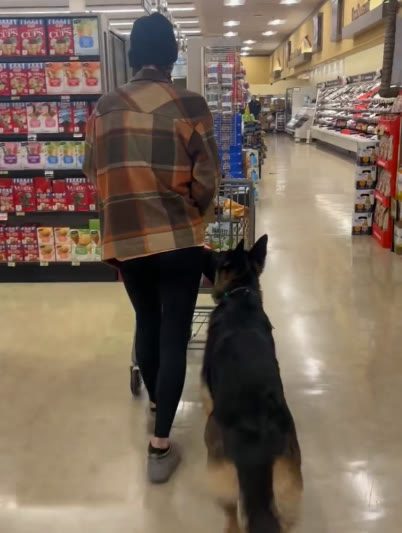 Nicole and Bruce, her psychiatric service dog, working a public-access session in a grocery store aisle