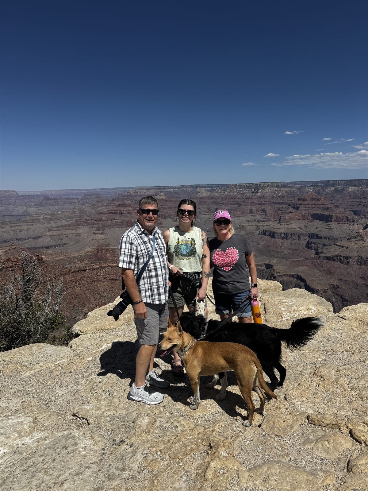 Sophie, a rescue dog trained by Daily K9 Academy, out on a leash at the Grand Canyon with her family
